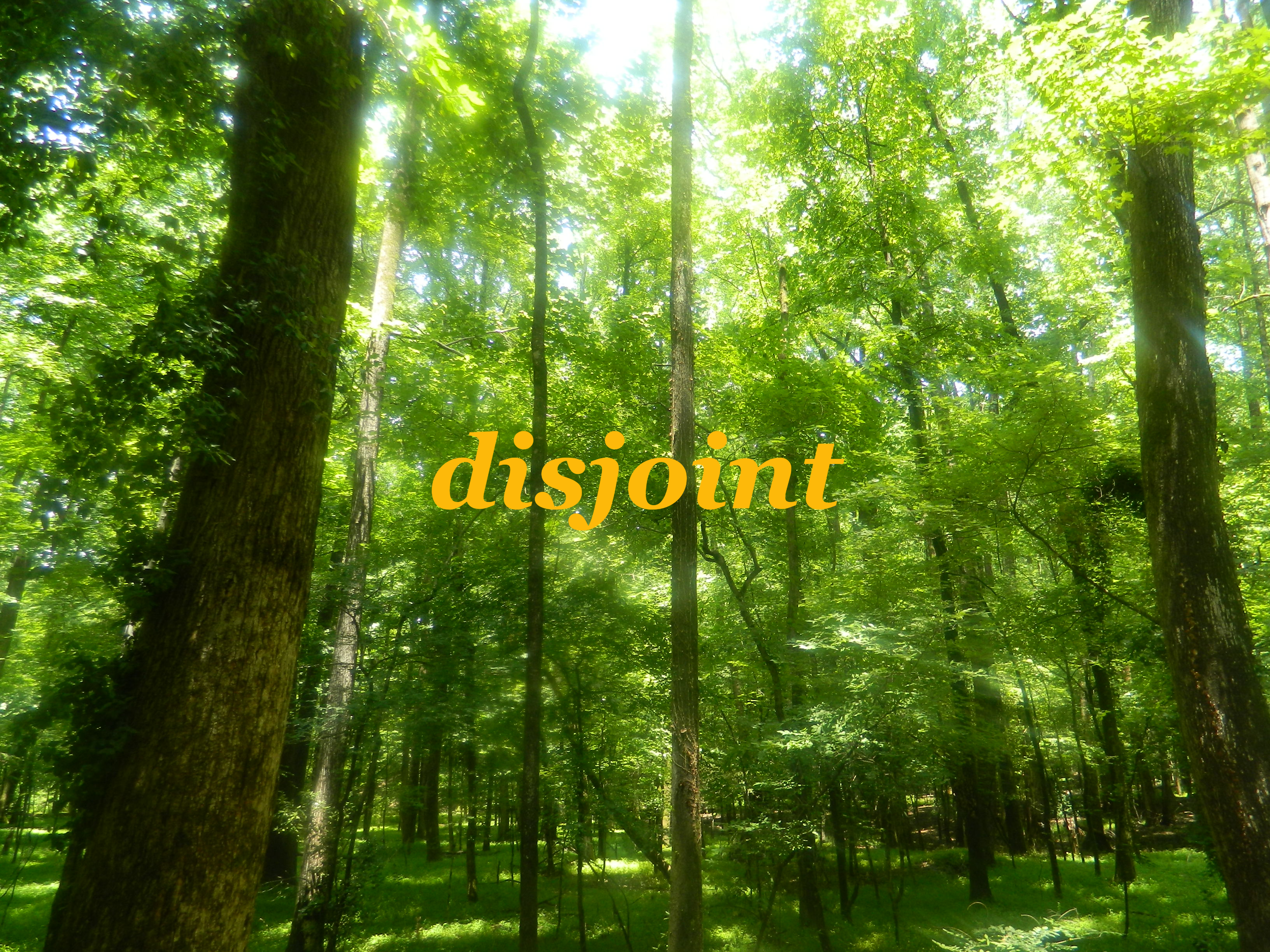 The Last Summer in Atlanta