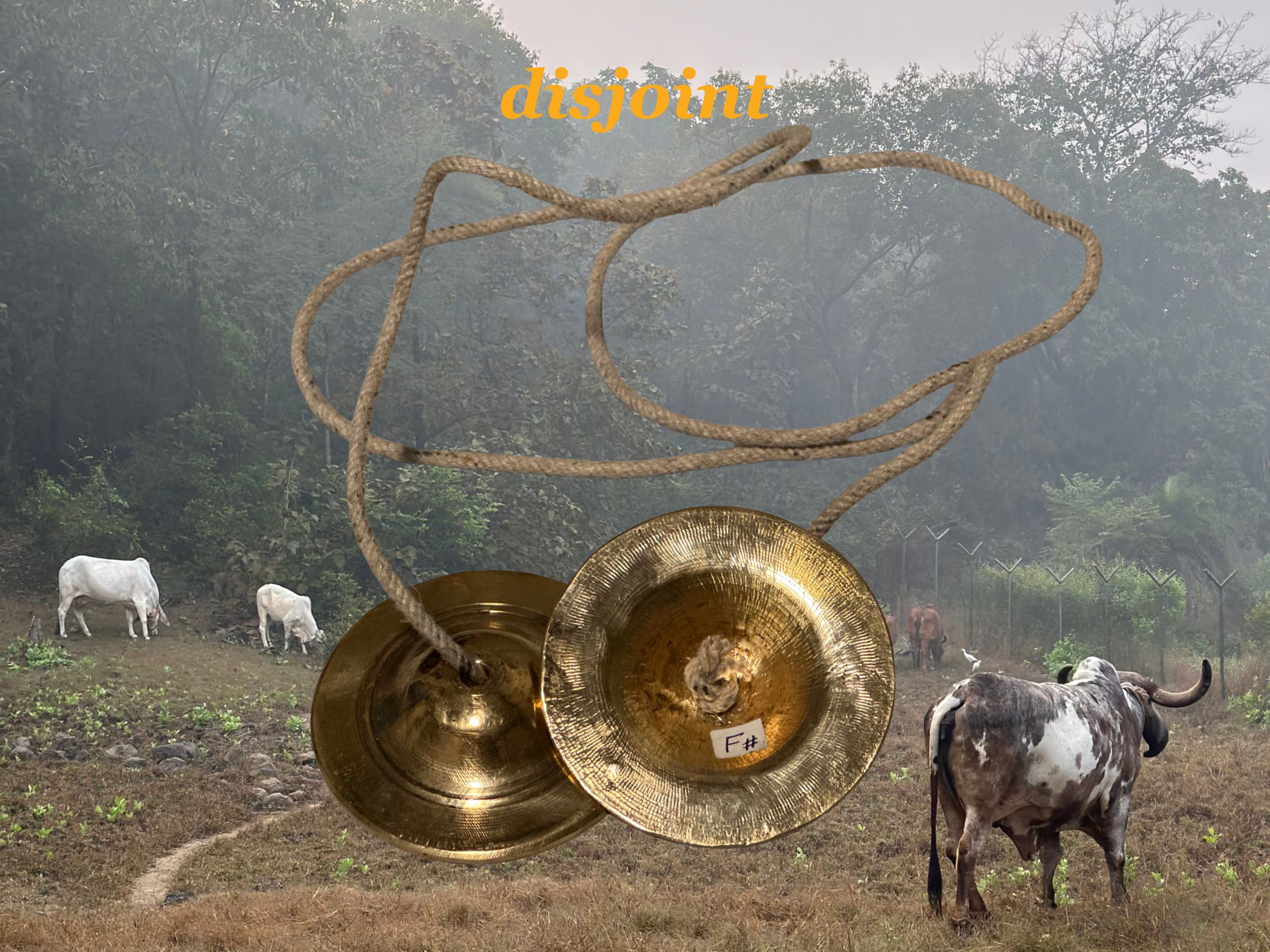 Sounds of Separation